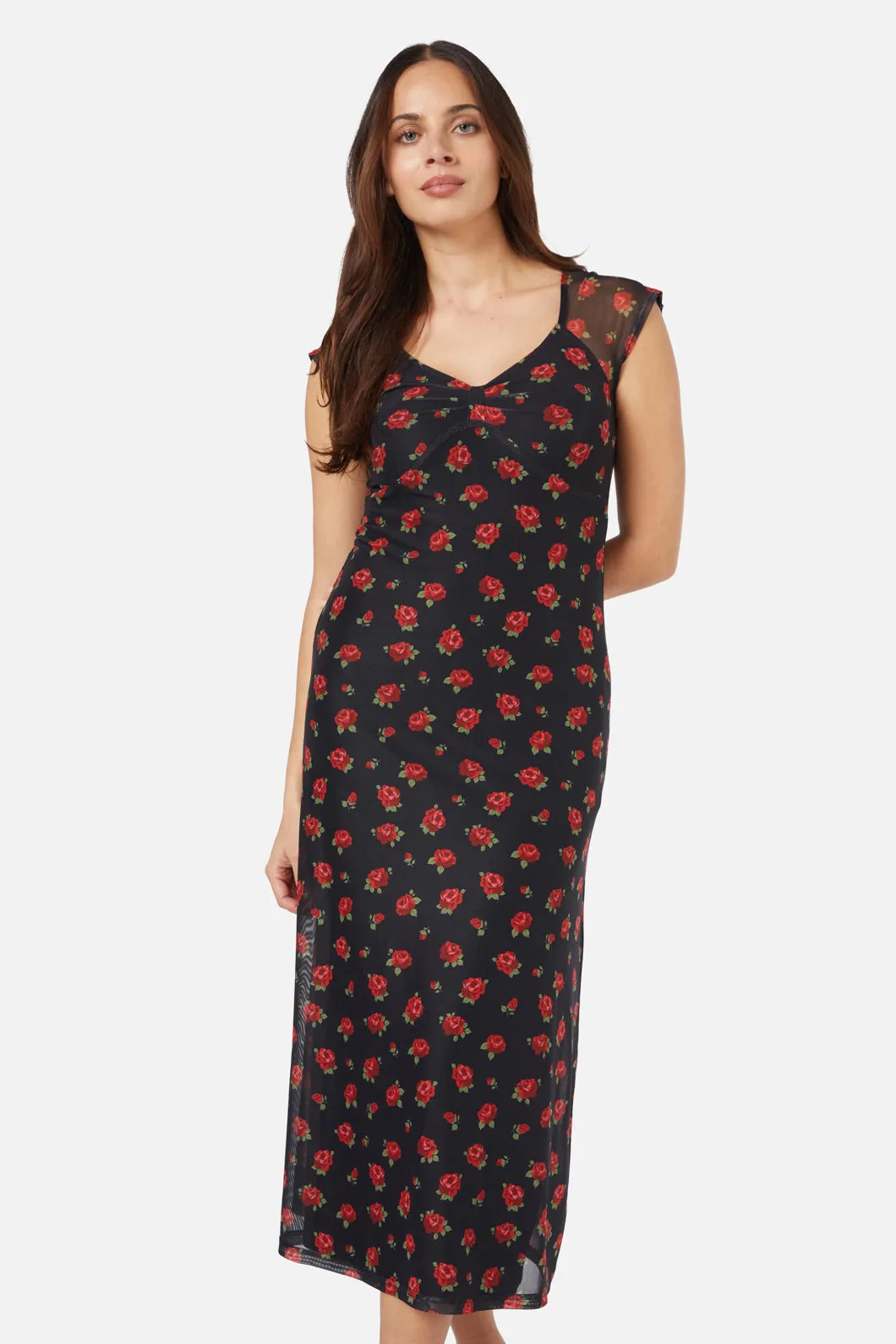 Baby Roses Mesh Dress