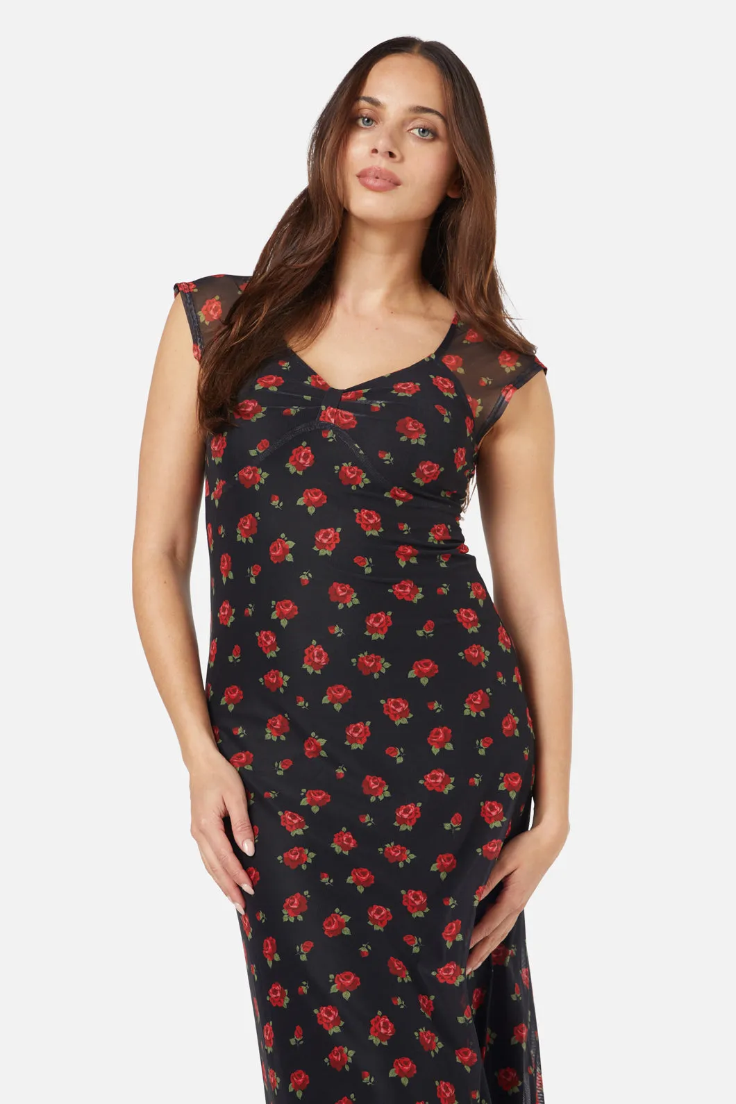 Baby Roses Mesh Dress