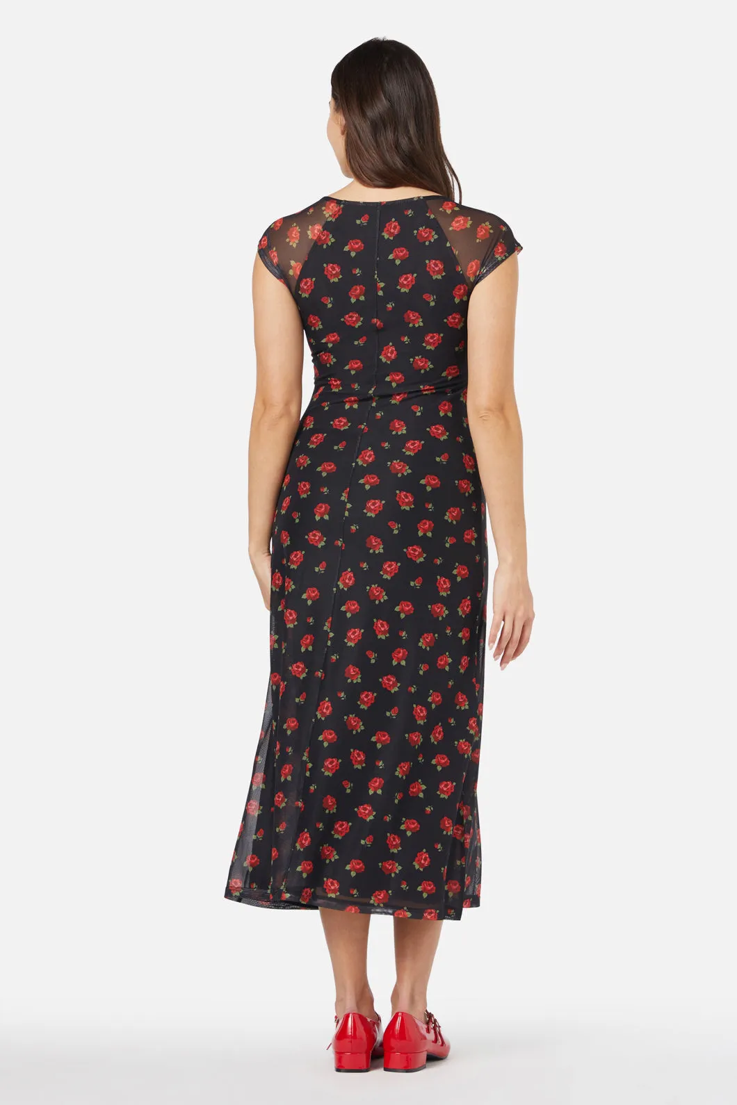 Baby Roses Mesh Dress