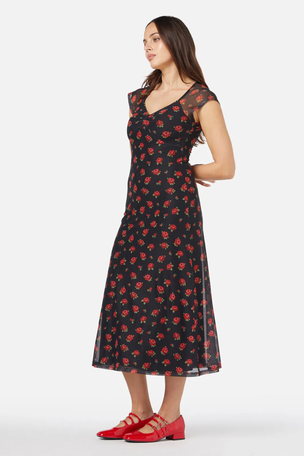 Baby Roses Mesh Dress