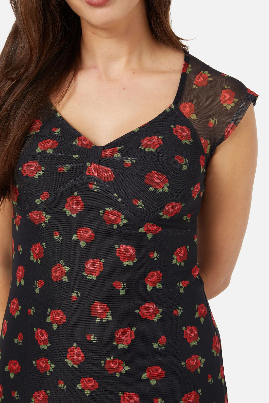 Baby Roses Mesh Dress
