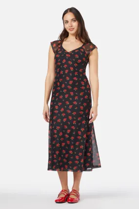 Baby Roses Mesh Dress