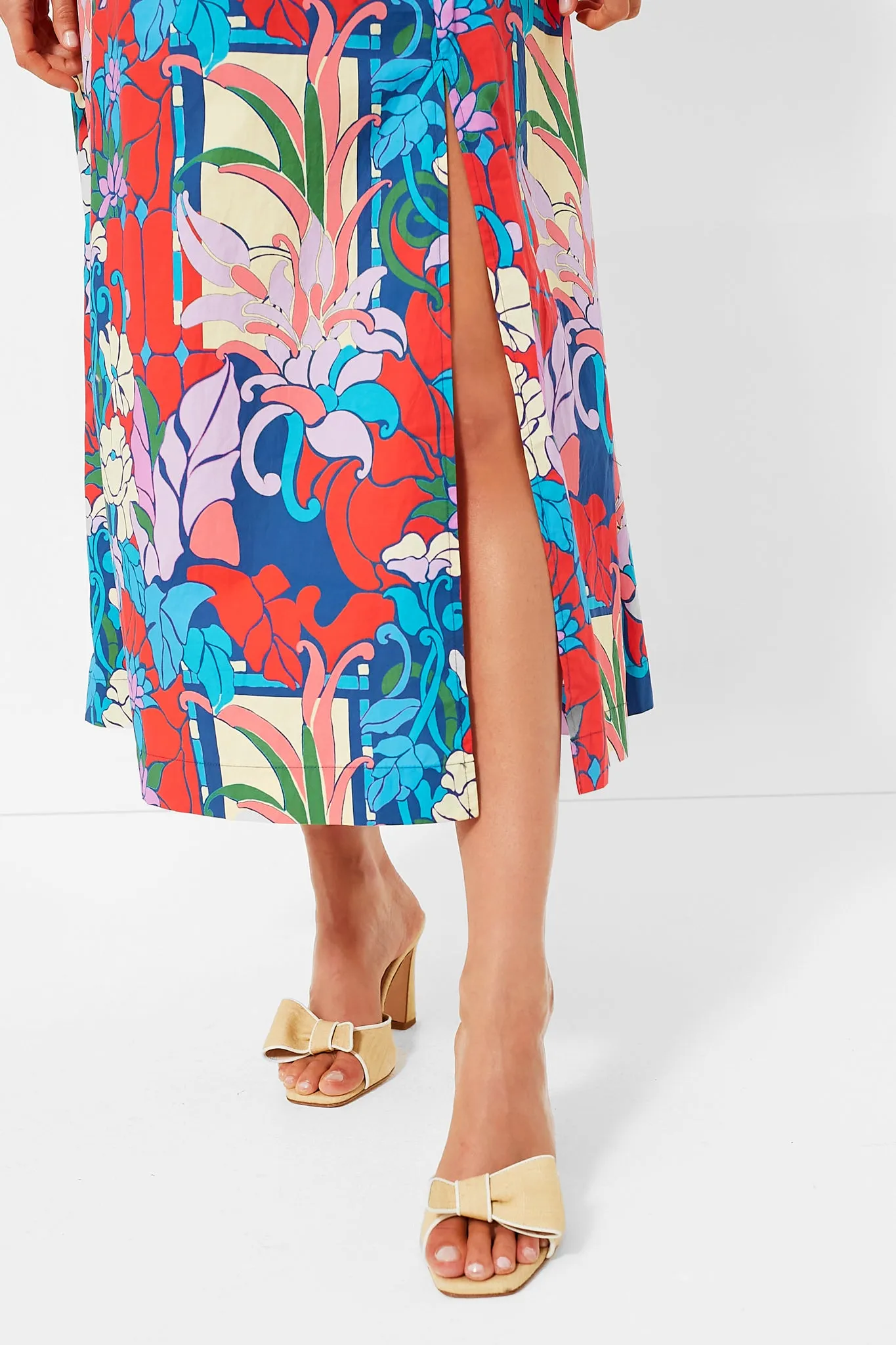 Climbing Cosmos Valerie Dress