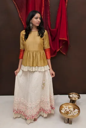 Long embroidered skirt