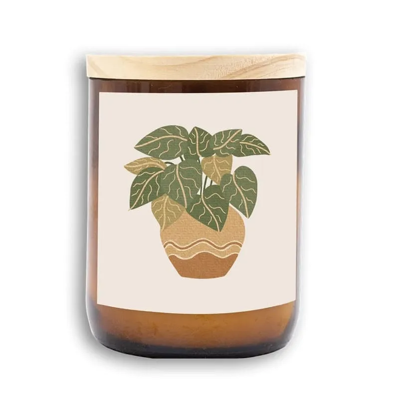Midi House Plants | Wave Candle