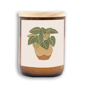 Midi House Plants | Wave Candle