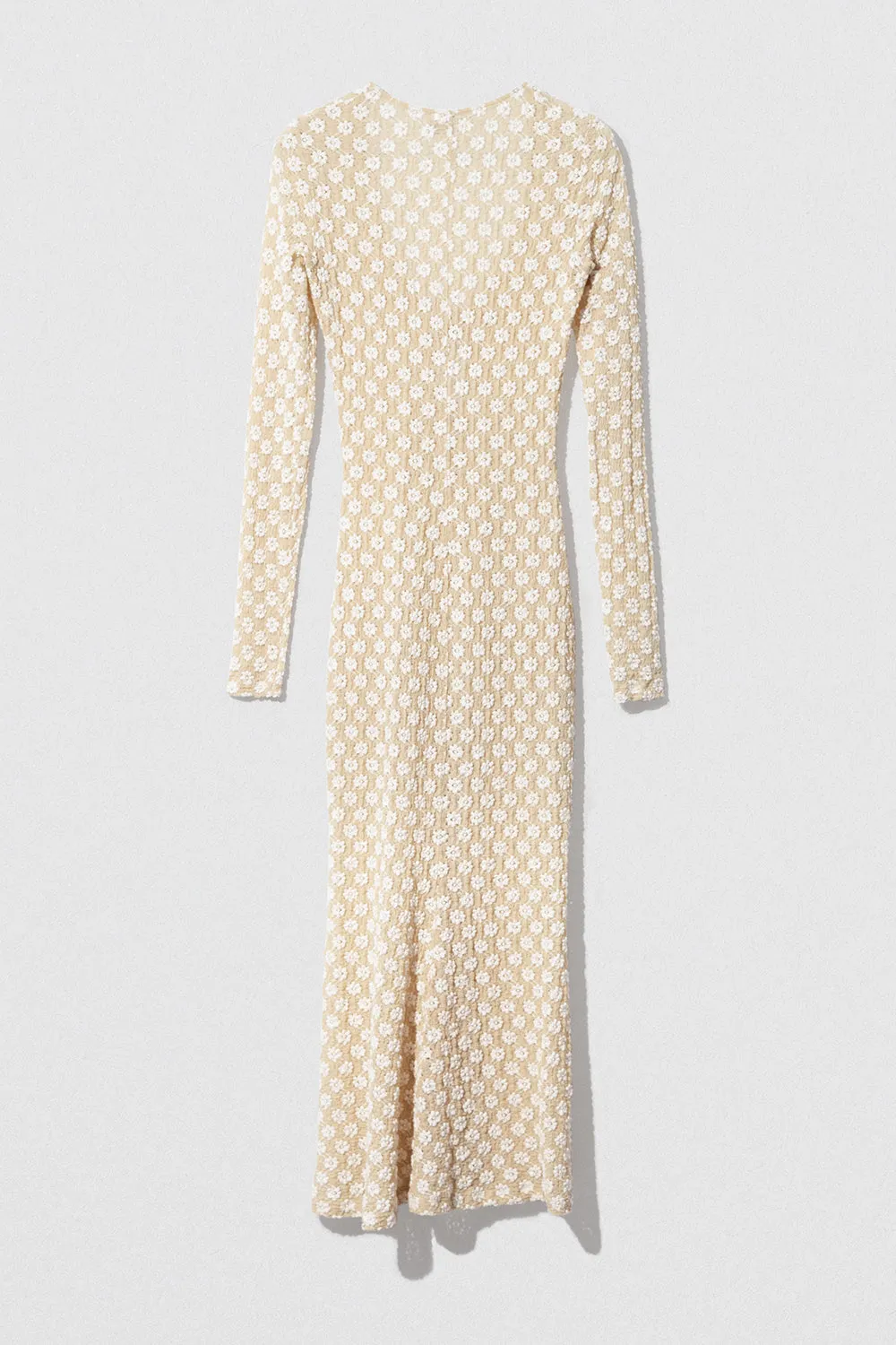 Rubi Dress Beige Floral Lace