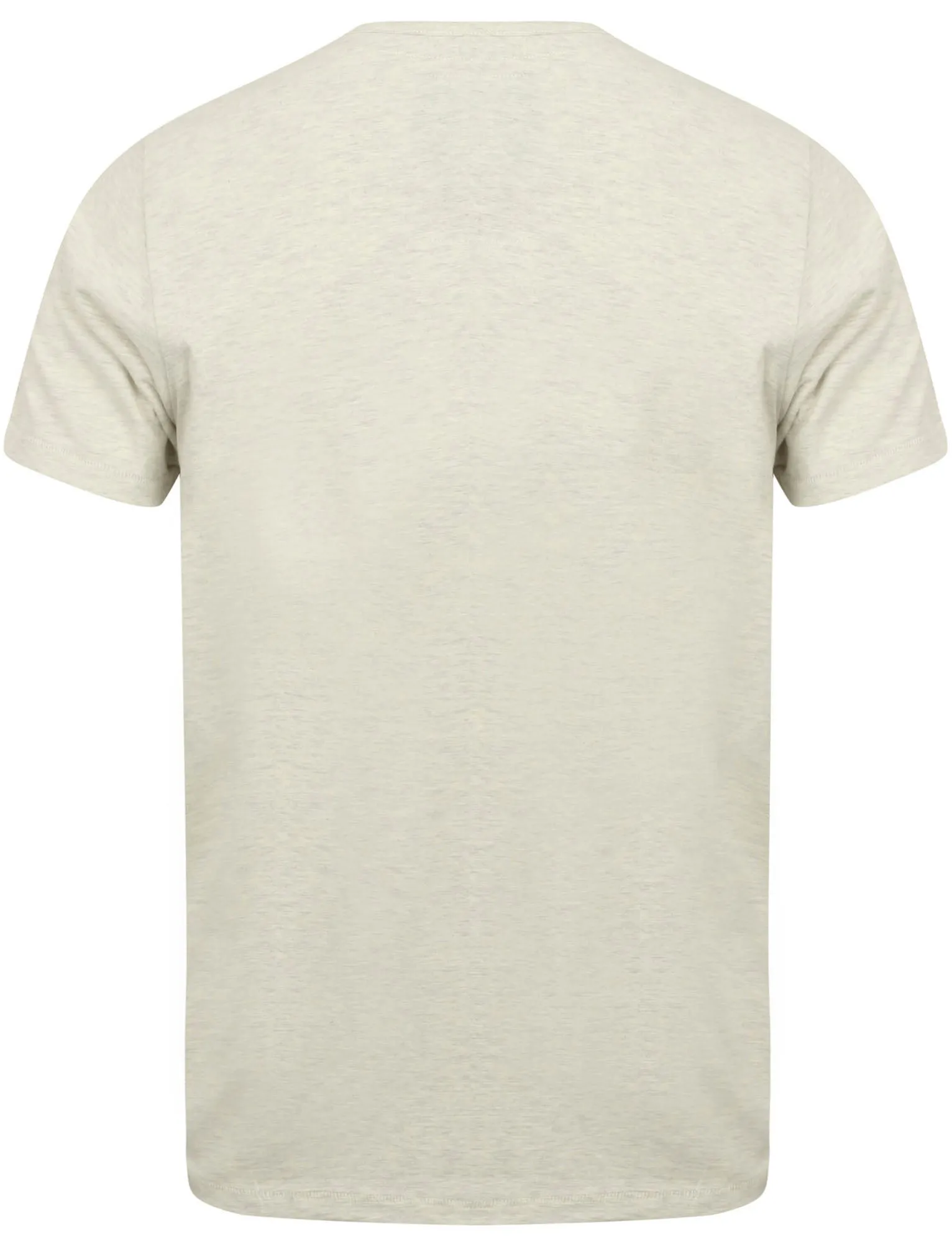 Westby Short Sleeve T-Shirt in Oatgrey Marl - Tokyo Laundry